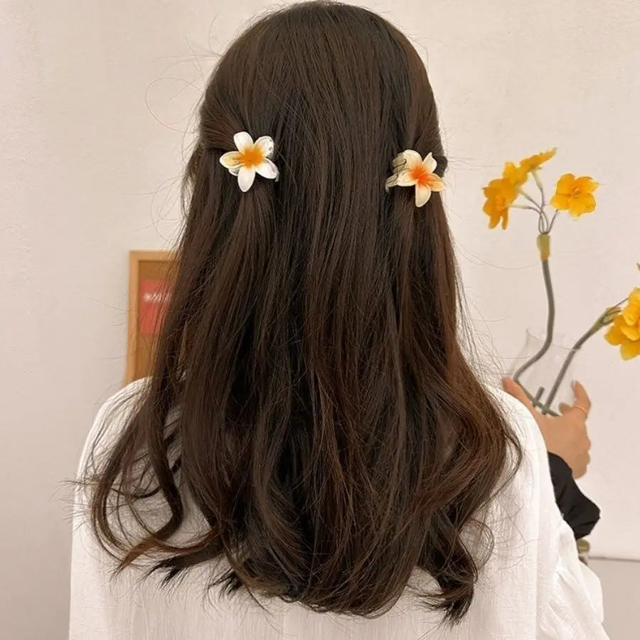 Lot de 6 pinces à cheveux dégradées, nouvelles pinces à cheveux fleuries, petite taille, accessoire de coiffure tendance en forme de crabe pour femmes