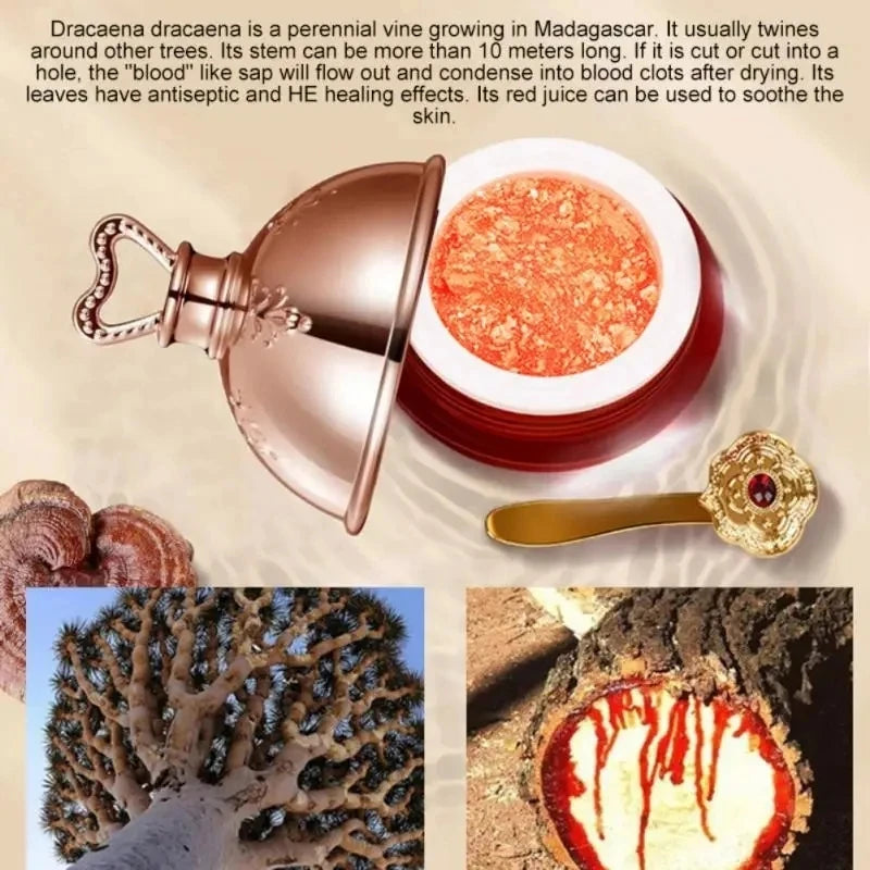 Crème pour le visage au sang de Dragon, Essence de rétinol et de Placenta, éclaircissante, raffermissante, soins pour la peau, cosmétiques coréens