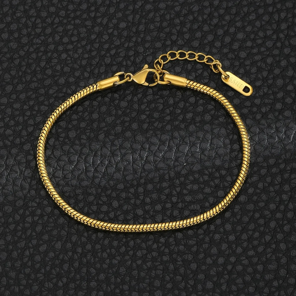 CNCZ – Bracelet en chaîne en os rond de Style Simple, en acier inoxydable, chaîne en os de serpent doré et argenté, cadeau à la mode Y2k, bijoux pour femmes