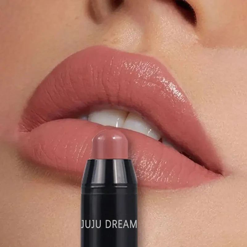 Rouge à lèvres mat en stylo, 4 couleurs, waterproof longue tenue, application facile, ne s'estompe pas, maquillage des lèvres multi-looks, unisexe, sûr et certifié