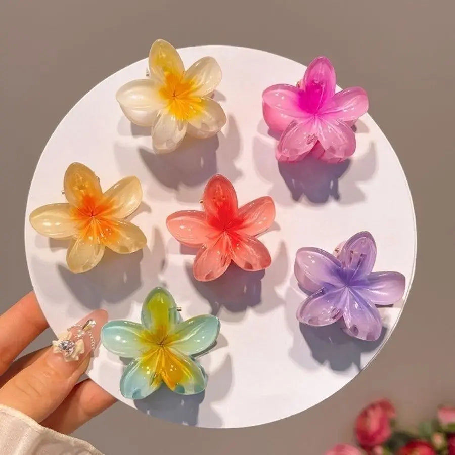 Lot de 6 pinces à cheveux dégradées, nouvelles pinces à cheveux fleuries, petite taille, accessoire de coiffure tendance en forme de crabe pour femmes