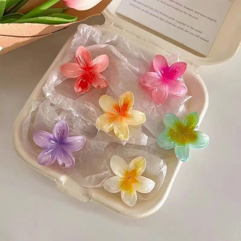 Lot de 6 pinces à cheveux dégradées, nouvelles pinces à cheveux fleuries, petite taille, accessoire de coiffure tendance en forme de crabe pour femmes