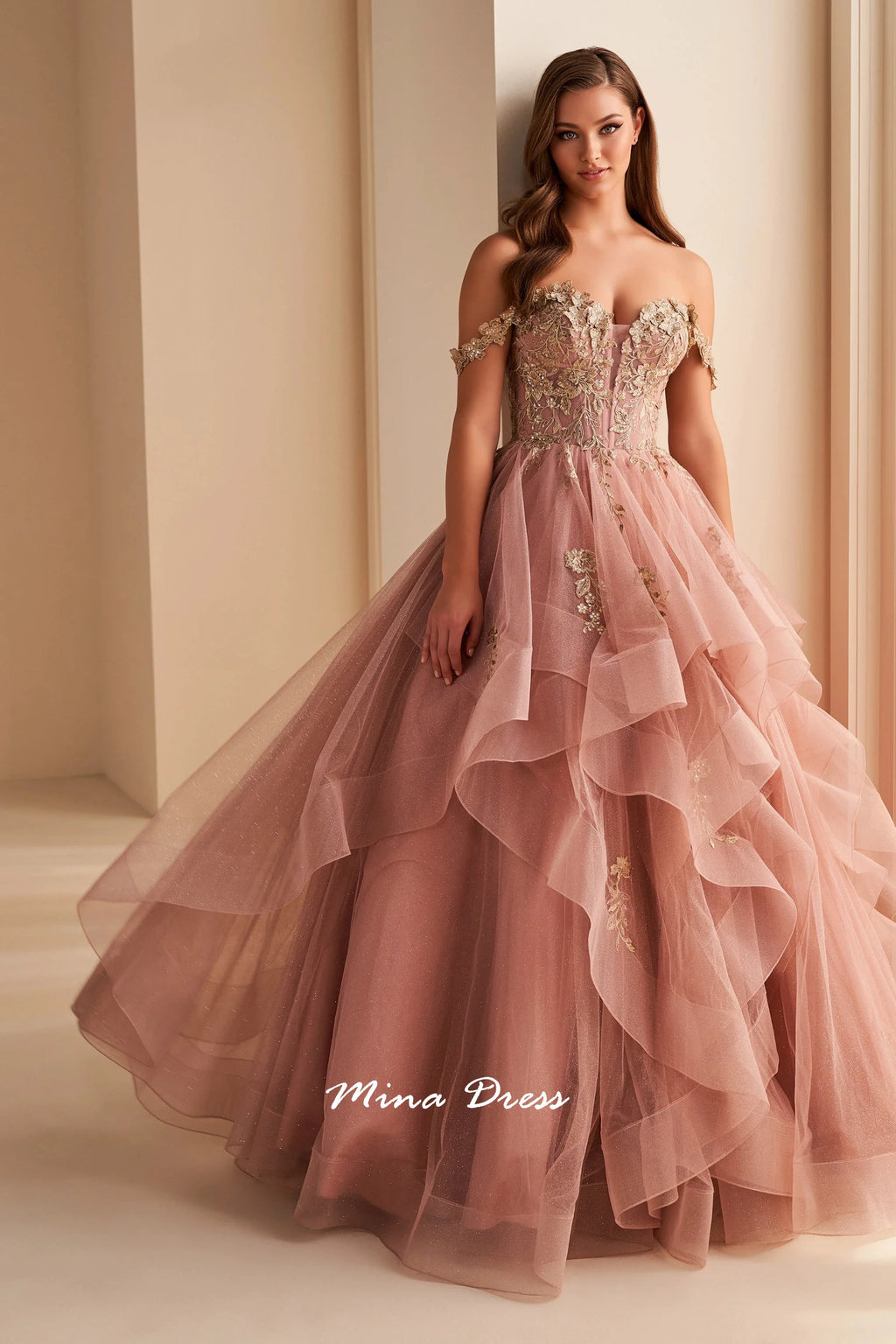 Robe de soirée Mina à bretelles amovibles, robe de fête élégante et luxueuse pour femme, dos nu sans manches, ornée d'appliqués de dentelle, style bal de promo