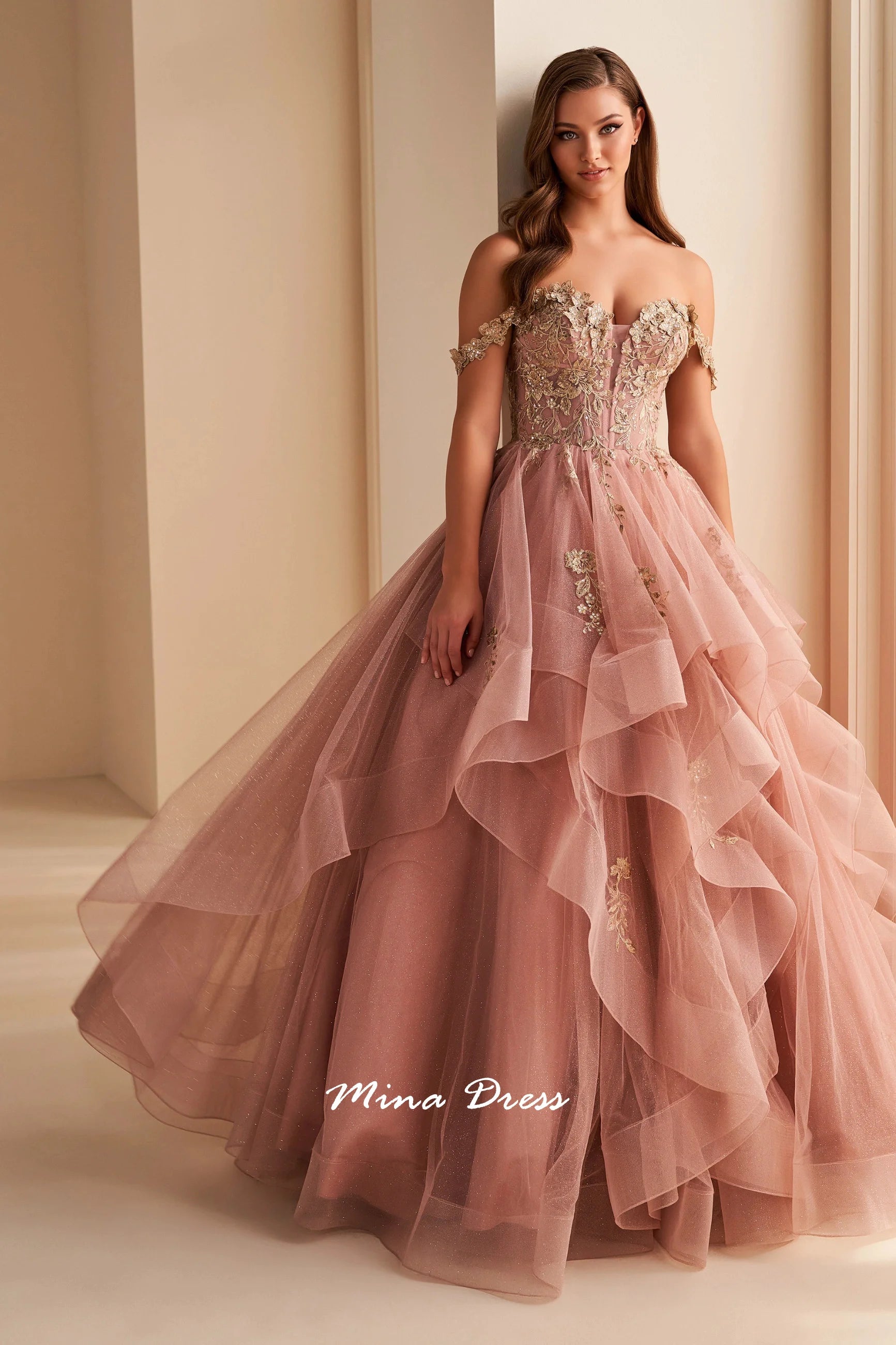 Robe de soirée Mina à bretelles amovibles, robe de fête élégante et luxueuse pour femme, dos nu sans manches, ornée d'appliqués de dentelle, style bal de promo