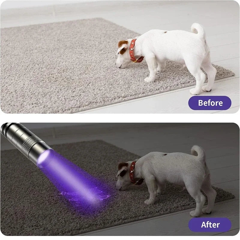 Lampe de poche UV 395nm, torche ultraviolette avec pince à stylo, piles AAA portables utilisées, lumière violette, détecteur d'urine d'animaux domestiques, lampe UV