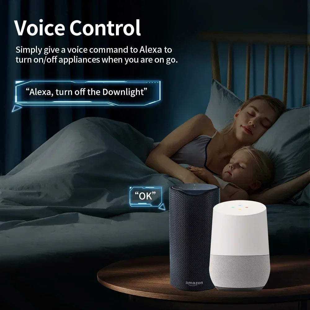Prise TNCE Tuya EU Zigbee3.0 ou WIFI 16/20A, prise intelligente avec synchronisation du moniteur de puissance, commande vocale fonctionne avec Alexa Alice