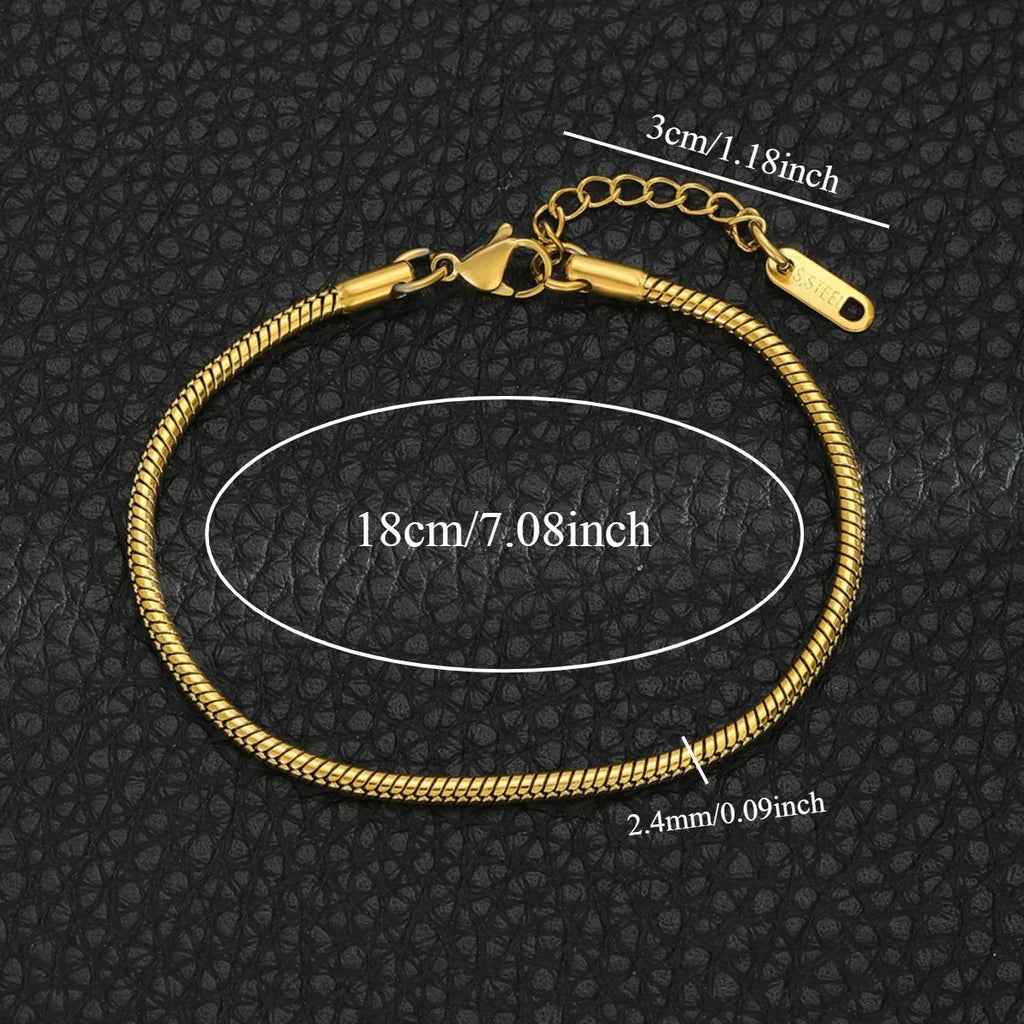 CNCZ – Bracelet en chaîne en os rond de Style Simple, en acier inoxydable, chaîne en os de serpent doré et argenté, cadeau à la mode Y2k, bijoux pour femmes